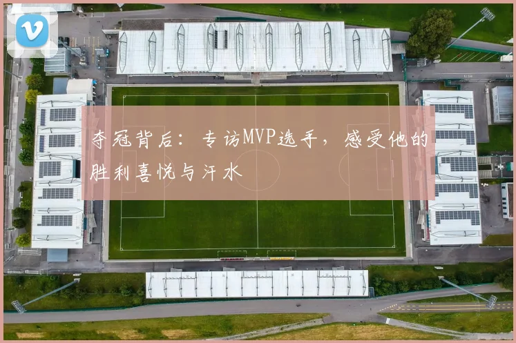 夺冠背后：专访MVP选手，感受他的胜利喜悦与汗水