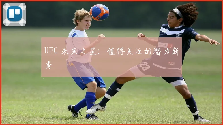 UFC 未来之星：值得关注的潜力新秀