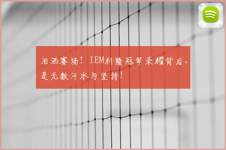 泪洒赛场!IEM科隆冠军荣耀背后,是无数汗水与坚持!